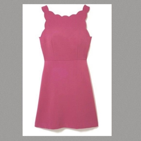 LOFT Raspberry Scalloped Edge Sheath Dress - Picture 3 of 6